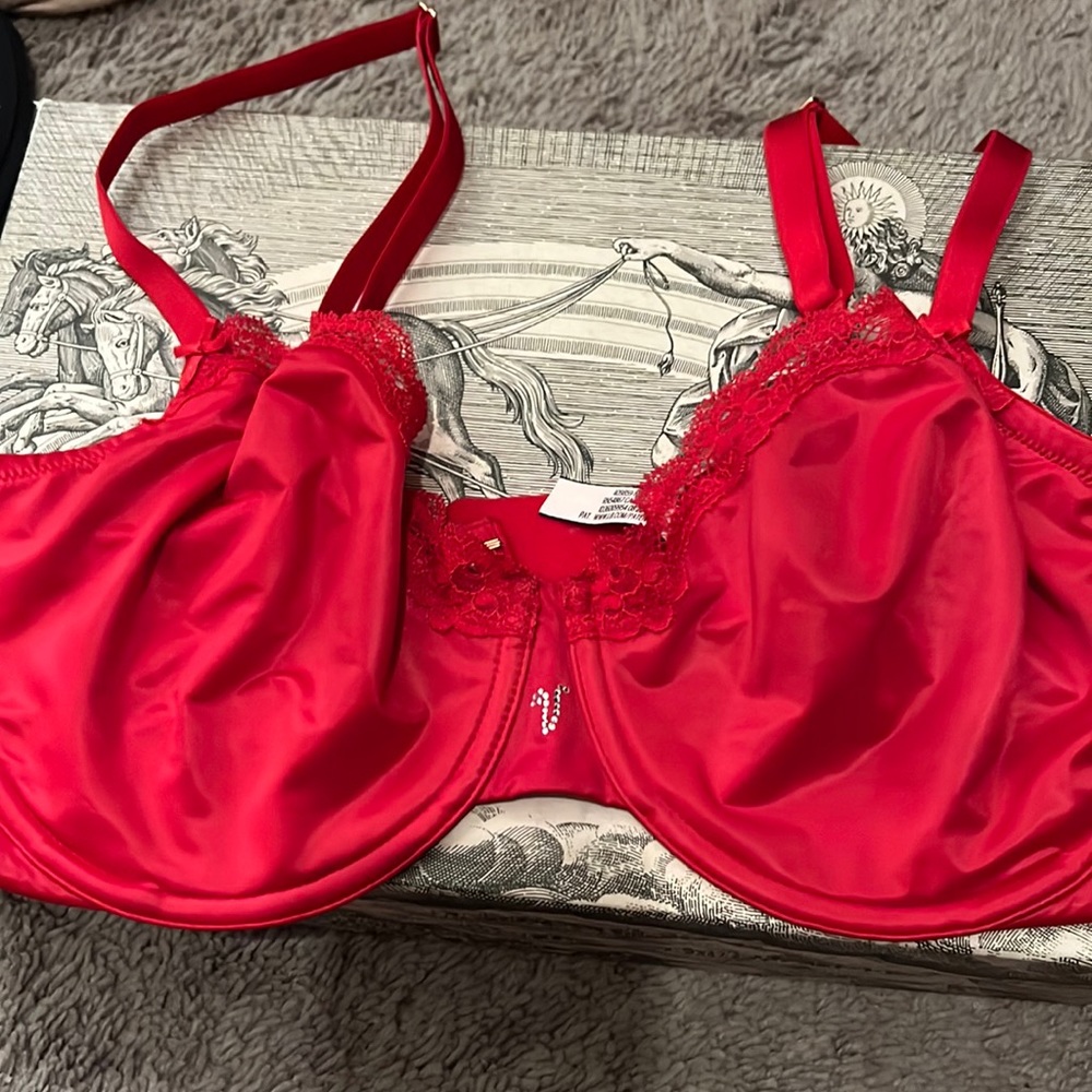 VictoriaSecret Bra